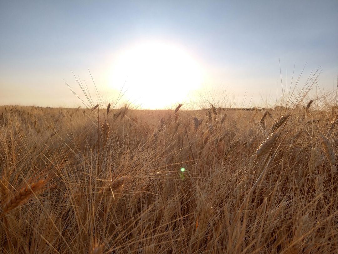 Postcard front image