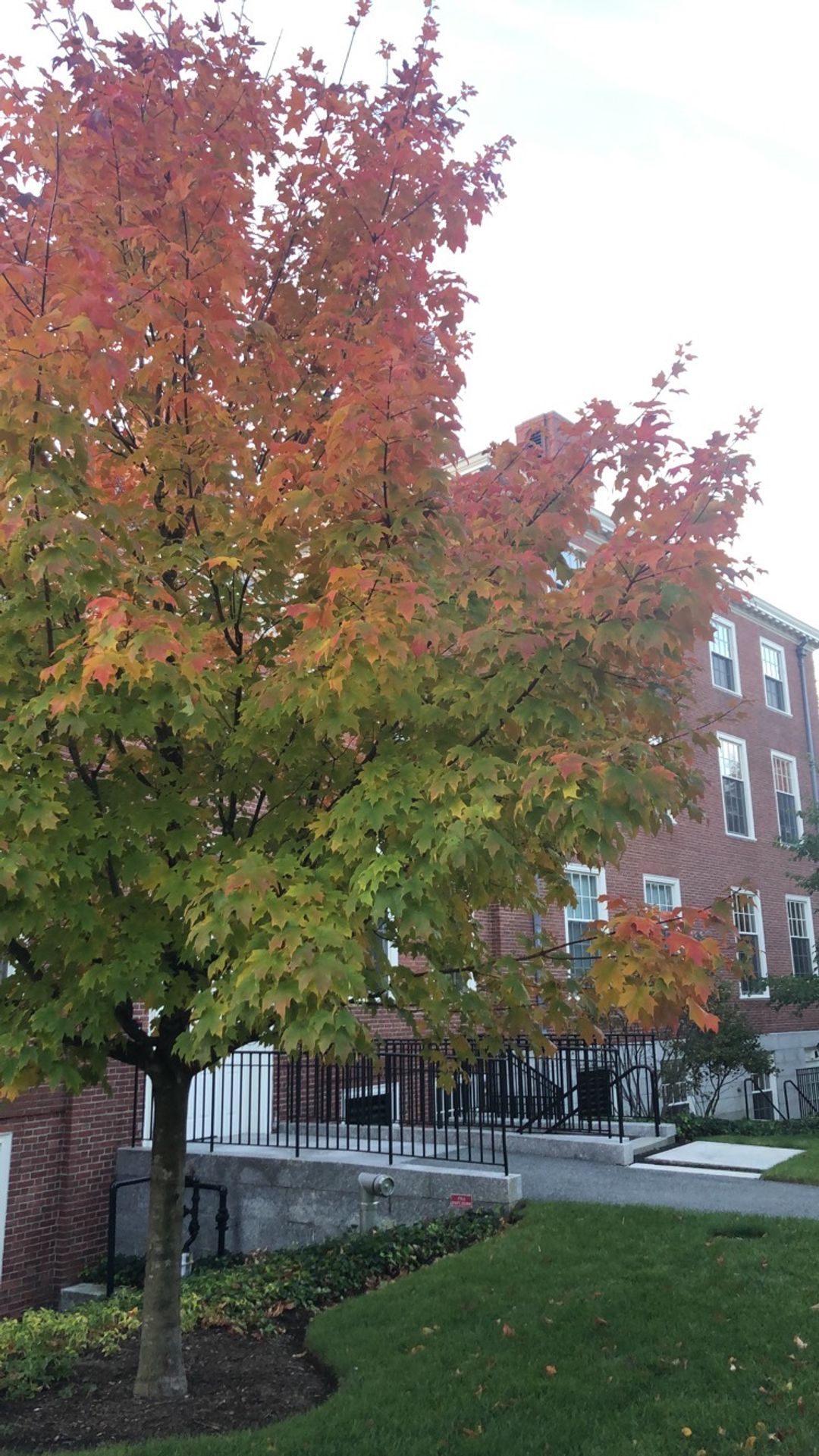 Postcard front image